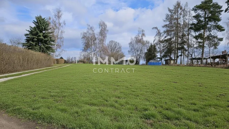 Weitläufige Grünfläche mit Rasen und Bäumen unter einem bewölkten Himmel, ideal für Gartenliebhaber.