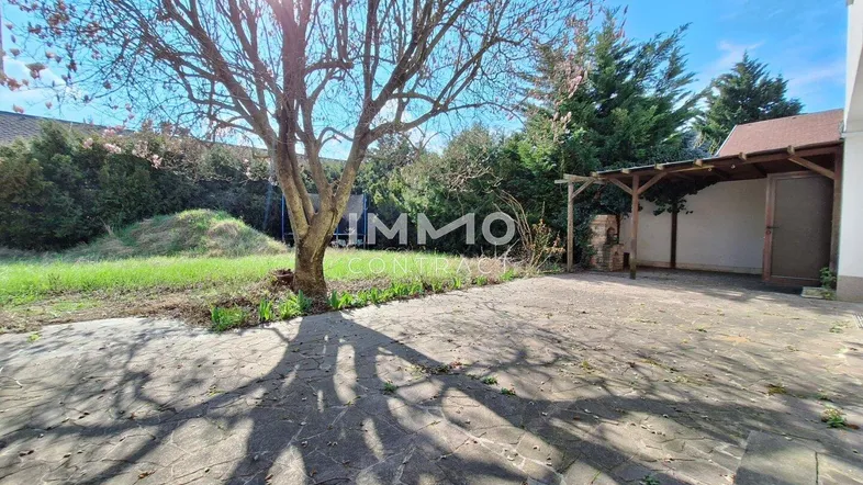 Großer gepflasterter Außenbereich mit Baum und Rasenfläche, ideal für Entspannung im Freien.