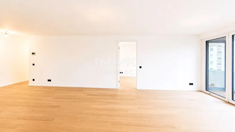 Heller, leerer Wohnbereich mit Parkettboden und Zugang zu einem Balkon oder einer Terrasse.