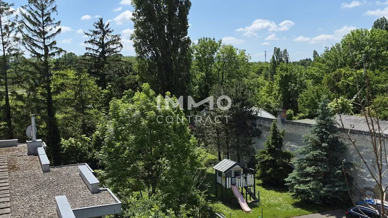 Blick von oben auf einen grünen Gartenbereich mit Kinderspielhaus und Rutsche unter blauem Himmel.