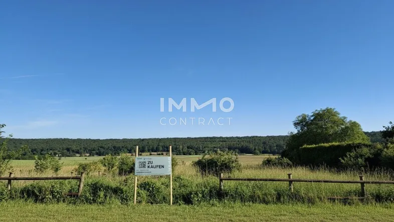 Weites Feld mit "ZU KAUFEN" Schild unter blauem Himmel, umgeben von grüner Landschaft.