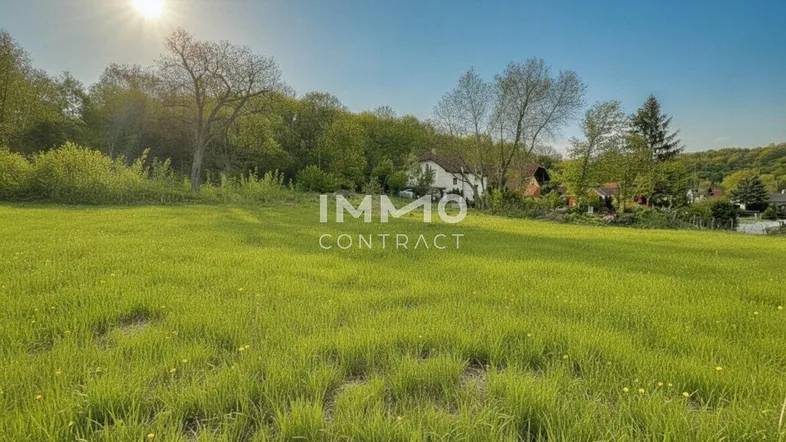 Weitläufige grüne Wiese mit Bäumen und einem Haus im Hintergrund unter strahlendem Sonnenschein.