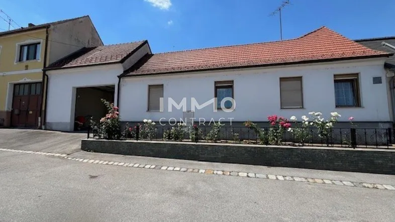 Hausfassade mit Garage, Vorgarten und blühenden Pflanzen unter blauem Himmel.