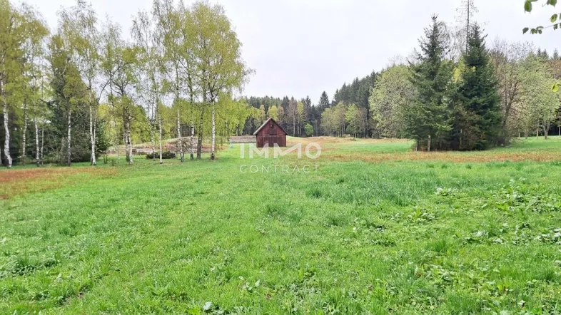 Weitläufiges grünes Grundstück mit einem kleinen Holzhaus im Hintergrund und umgebenden Bäumen.