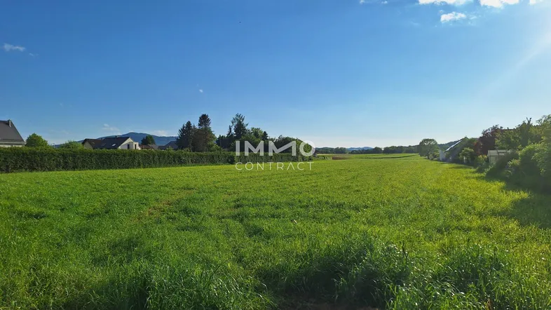Weitläufiges grünes Feld mit Häusern im Hintergrund unter blauem Himmel und Sonnenschein.