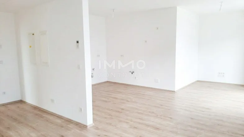 Heller, leerer Raum mit weißen Wänden und modernem Laminatboden, bereit zur individuellen Gestaltung.