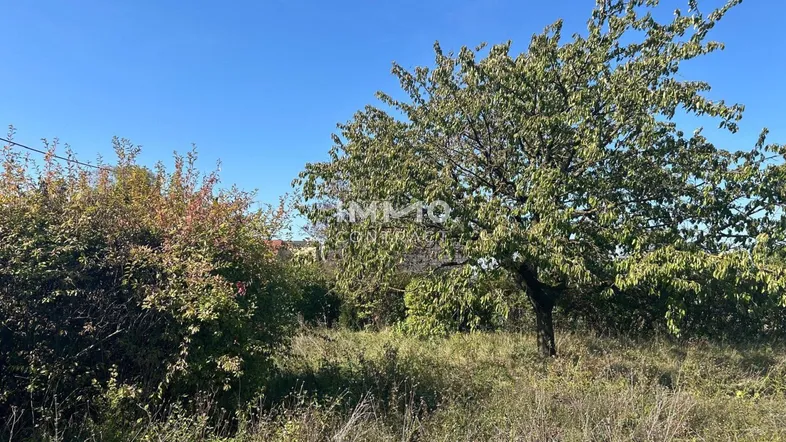 Großes Grundstück mit Bäumen und Sträuchern unter blauem Himmel, ideal für Naturliebhaber.