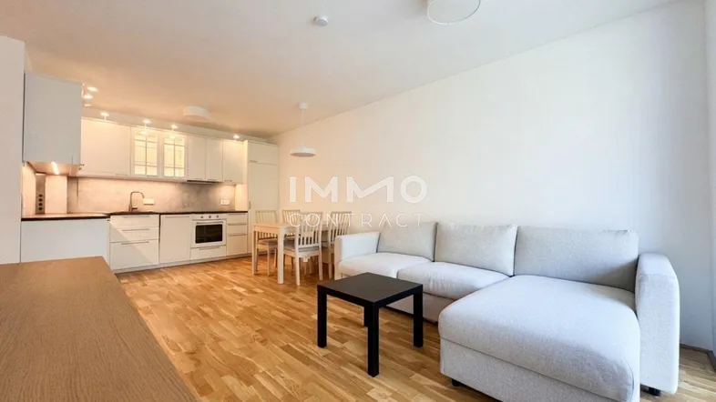 Heller offener Wohnbereich mit integrierter Küche, Essbereich und gemütlichem Sofa auf Parkettboden.
