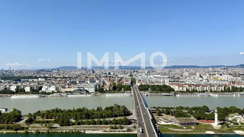 Ausblick Innere Stadt, Neue Donau