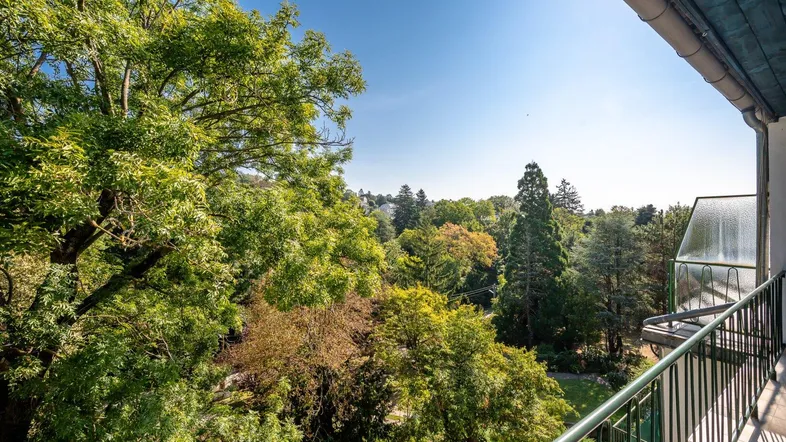 Weiter Blick ins Grüne von einem sonnigen Balkon mit üppiger Vegetation und blauem Himmel.
