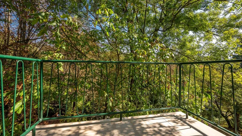 Heller Balkon mit grüner Brüstung und üppigem Baumbestand im Hintergrund.
