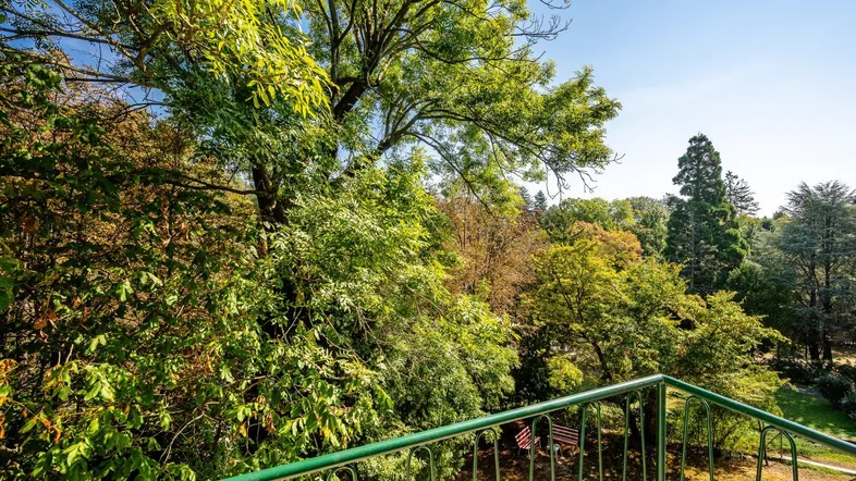 Grüner Balkon mit schmiedeeisernem Geländer und weitem Blick ins Grüne.