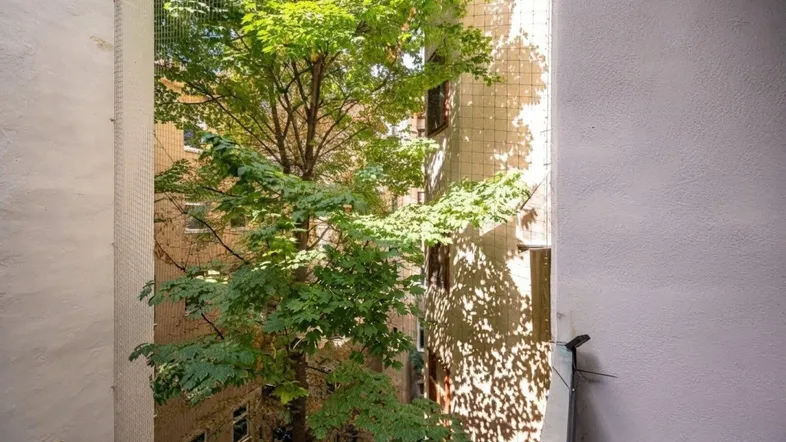 Blick von einem Balkon in einen begrünten Innenhof mit Bäumen und angrenzenden Gebäuden.