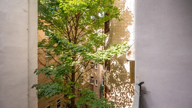 Blick in einen begrünten Innenhof mit einem großen Baum, der für Schatten sorgt.
