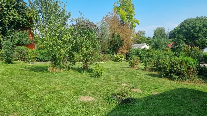 Großer, gepflegter Garten mit weitläufiger Rasenfläche und verschiedenen Sträuchern unter blauem Himmel.