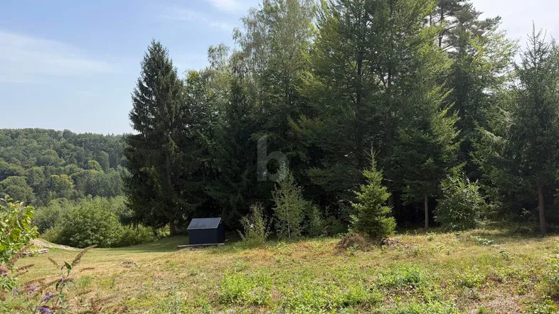Weitläufige Grünfläche mit Baumbestand und einem kleinen Geräteschuppen unter blauem Himmel.