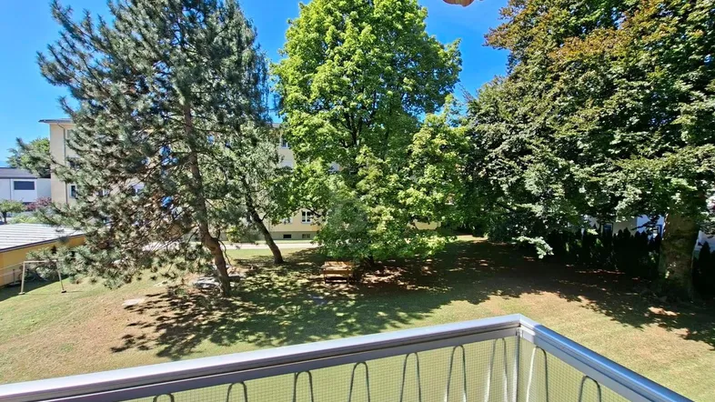 Blick vom Balkon auf eine grüne Parkanlage mit hohen Bäumen und Rasenflächen.