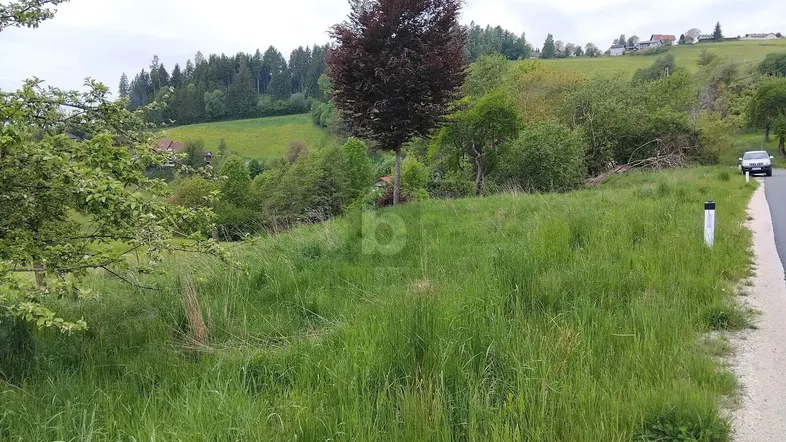 Ländliches Grundstück mit grüner Wiese und Blick auf die umliegende Hügellandschaft neben einer Straße.
