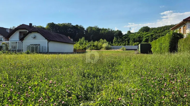 Weitläufiges Grundstück mit grüner Wiese und umliegenden Wohnhäusern unter blauem Himmel.