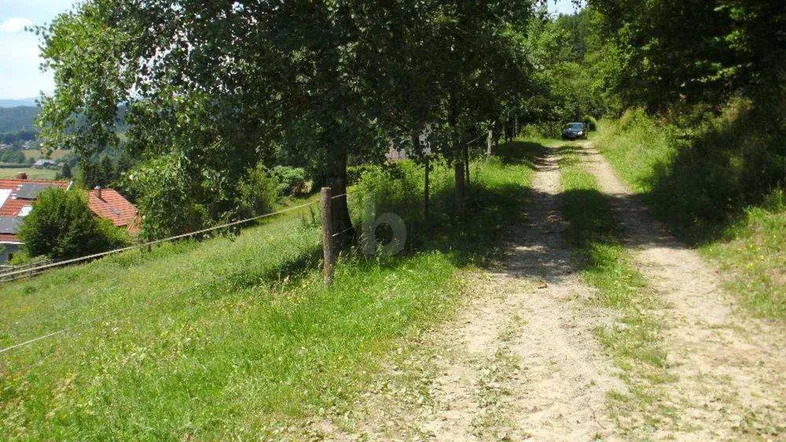 Unbefestigter Weg führt durch eine grüne Landschaft mit Bäumen und Blick auf entfernte Häuser und Berge.