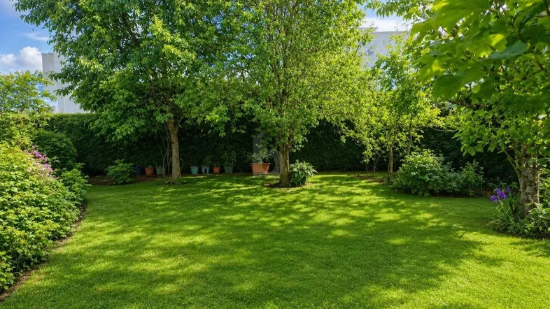 Gepflegter Garten mit großer Rasenfläche, hohen Bäumen und einer dichten Hecke im Hintergrund.