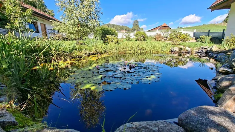 Idyllischer Gartenteich mit Seerosen und umgebender Bepflanzung, eingebettet in eine grüne Landschaft.