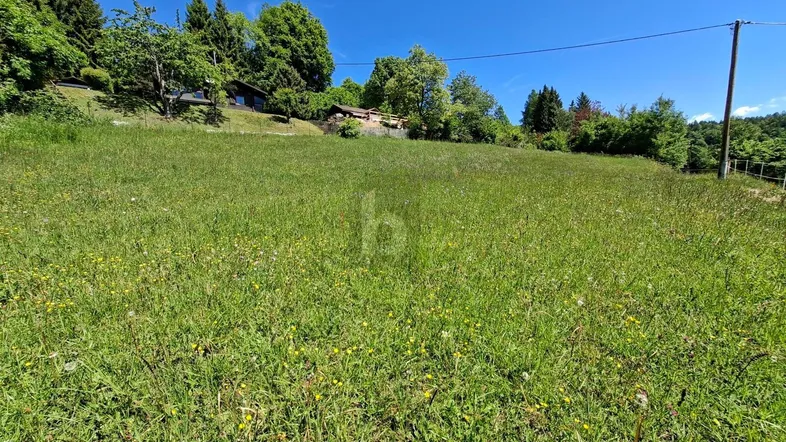 Weitläufige grüne Wiese unter blauem Himmel mit Bäumen und Häusern im Hintergrund.