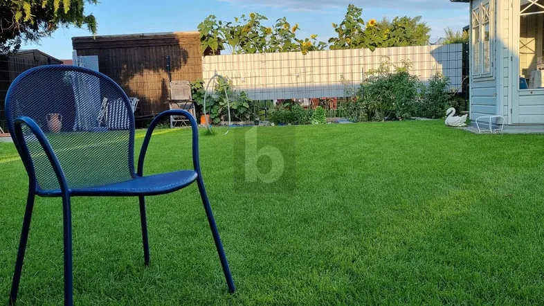 Gepflegter Rasenbereich mit Gartenstuhl und einem kleinen Gartenhaus im Hintergrund unter blauem Himmel.
