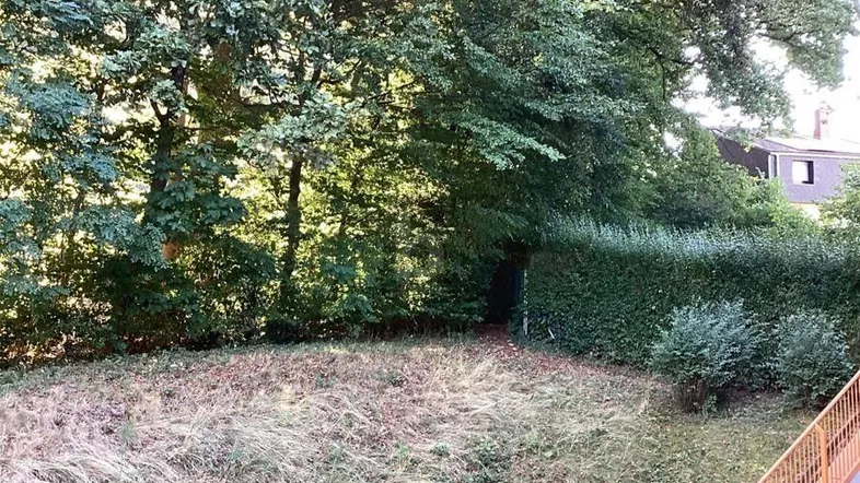 Naturbelassener Gartenbereich mit altem Baumbestand und viel Grün, der zum Entspannen einlädt.