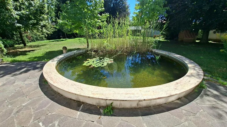 Kreisförmiger Teich mit Seerosen und Schilf, umgeben von einer gepflasterten Fläche im Garten.
