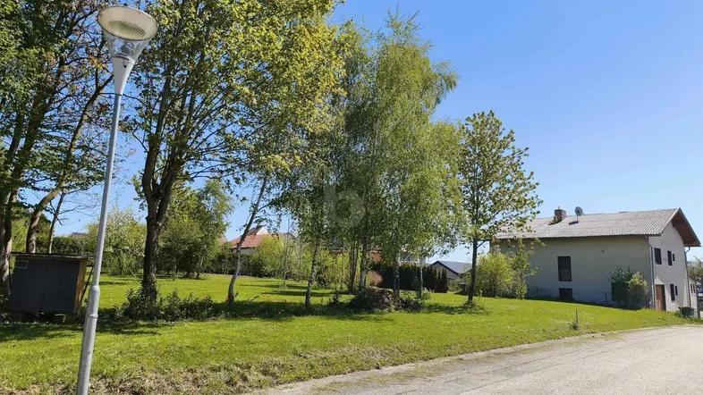Sonniges Grundstück mit Rasenfläche, Bäumen und einem Haus im Hintergrund unter blauem Himmel.