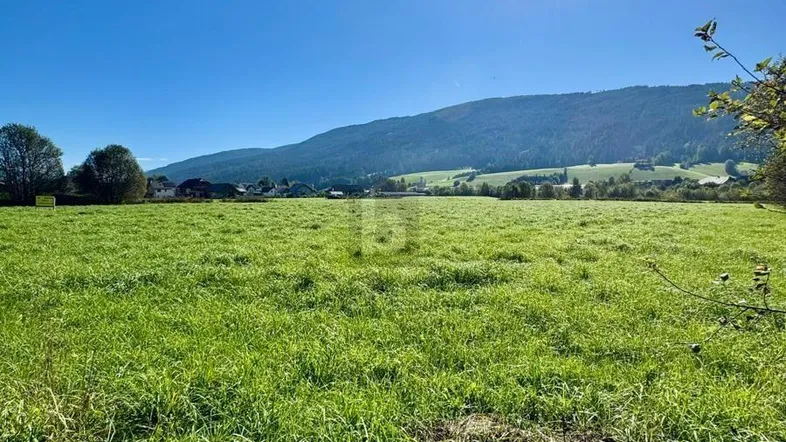 Weitläufige grüne Wiese unter strahlend blauem Himmel mit Bergblick im Hintergrund.