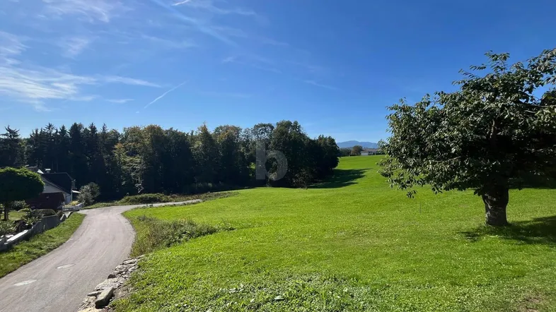 Weitläufige grüne Landschaft mit einer Straße, Bäumen und einem klaren blauen Himmel.