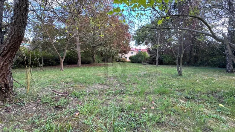Großes Gartengrundstück mit altem Baumbestand und Blick auf ein entferntes Gebäude.