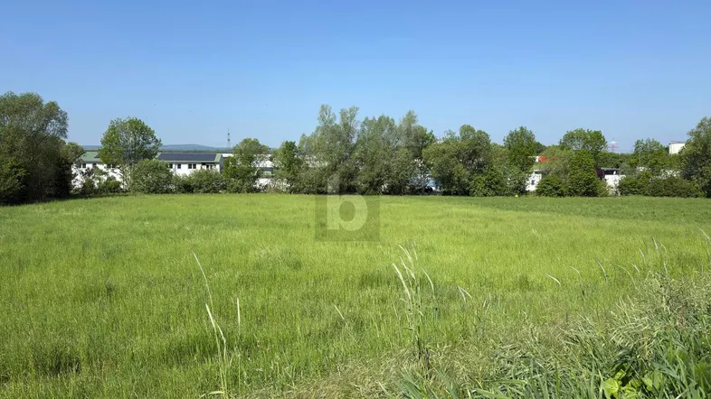 Weitläufiges grünes Feld unter blauem Himmel mit Bäumen und Gebäuden im Hintergrund.
