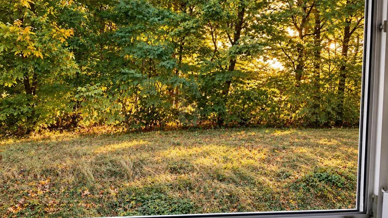Sonnige Aussicht auf grüne Bäume und Wiese durch ein Fenster, das natürliches Licht hereinlässt.