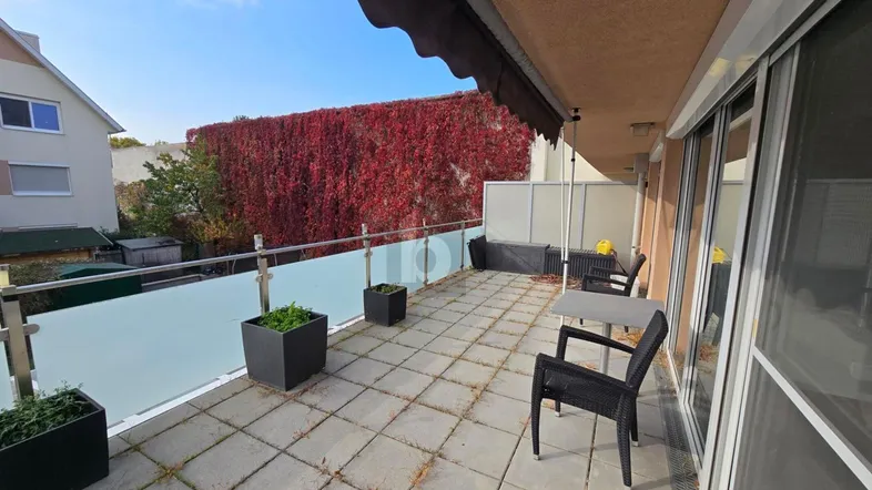 Geräumige Terrasse mit Fliesenboden, Markise und Blick auf die begrünte Wand.