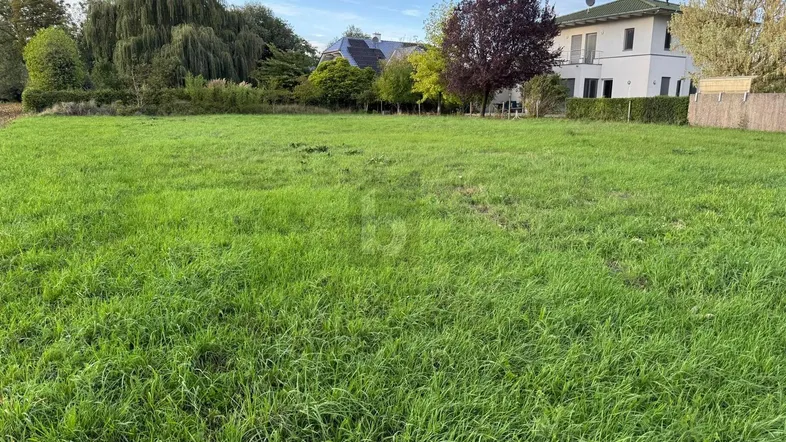 Weitläufiges grünes Grundstück mit Rasenfläche, umgeben von Bäumen und Häusern im Hintergrund.