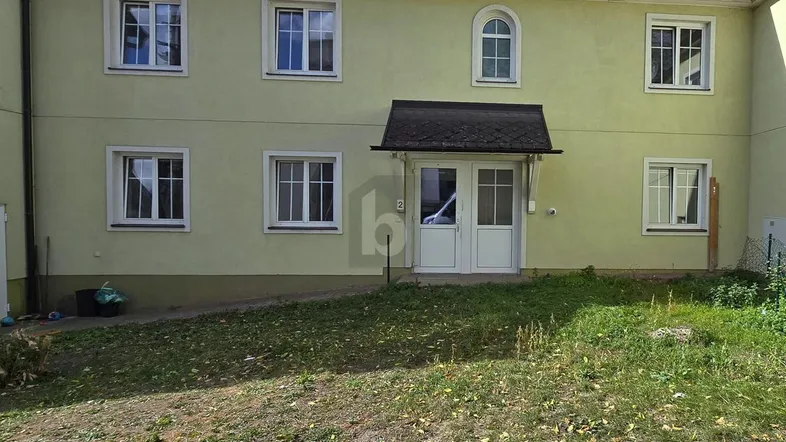Ansicht der Hausfassade mit mehreren Fenstern und einem kleinen Vorgartenbereich.
