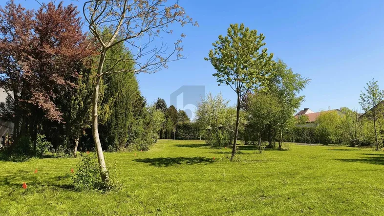 Weitläufiger Gartenbereich mit gepflegtem Rasen und verschiedenen Bäumen unter blauem Himmel.