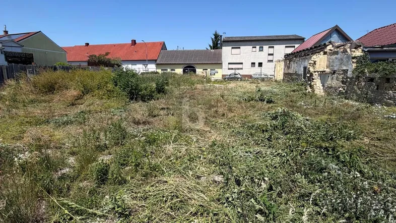 Überwuchertes Grundstück mit umliegenden Gebäuden unter klarem Himmel.