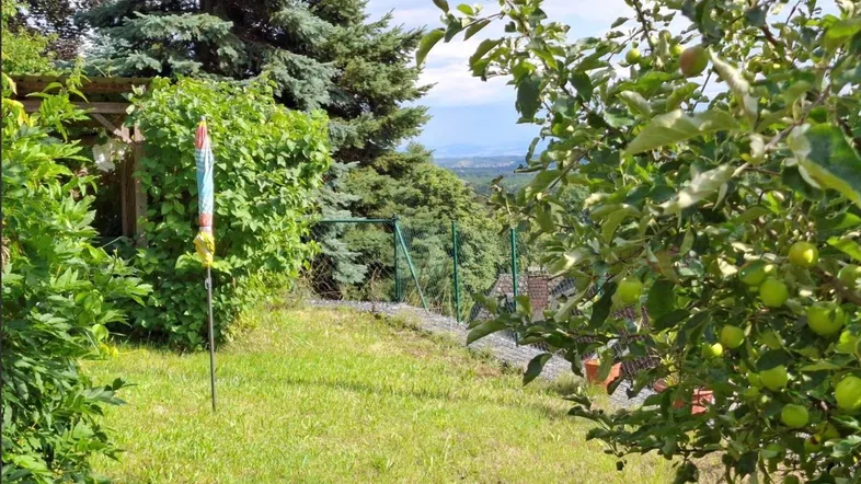 Gartenbereich mit Obstbäumen und weitem Blick über die Landschaft an einem sonnigen Tag.