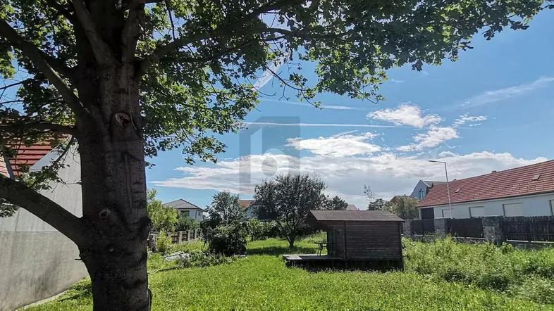 Großer Gartenbereich mit Rasenfläche, altem Baum und einer kleinen Holzhütte unter blauem Himmel.