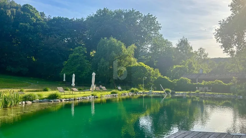 Natürlicher Schwimmteich mit Holzsteg, Liegestühlen und üppiger Vegetation in sonniger Umgebung.