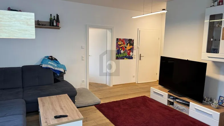 Helles Wohnzimmer mit modernem Sofa, Fernseher und Holzboden, ideal zum Entspannen.