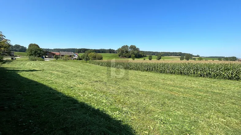 Weitläufige Landschaft mit Feldern und Wald im Hintergrund unter blauem Himmel.