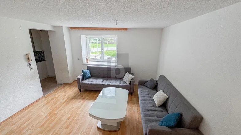 Helles Wohnzimmer mit zwei grauen Sofas, einem Couchtisch und Laminatboden.
