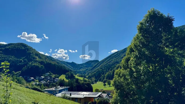 Panoramablick über ein grünes Tal mit bewaldeten Bergen und vereinzelten Häusern unter strahlendem Sonnenschein.