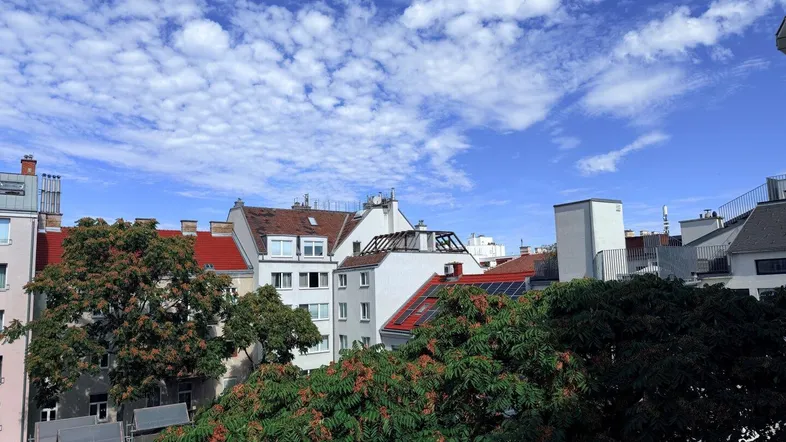 Blick über die Dächer der Stadt mit viel Grün und blauem Himmel an einem sonnigen Tag.
