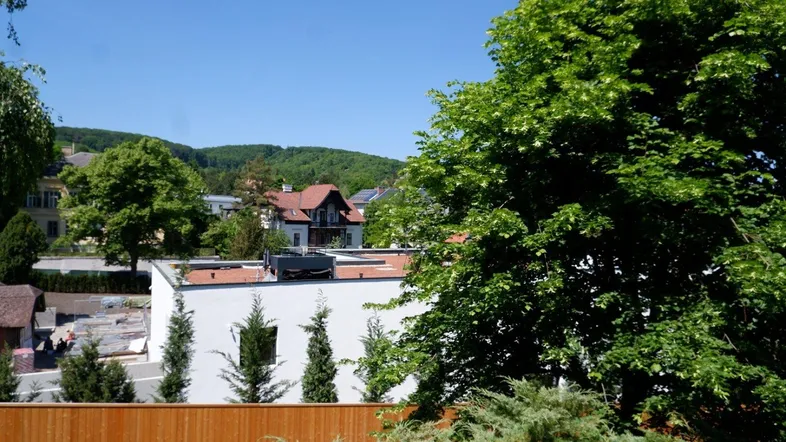 Blick auf die umliegende grüne Landschaft mit Bäumen und einem modernen Gebäude im Vordergrund.